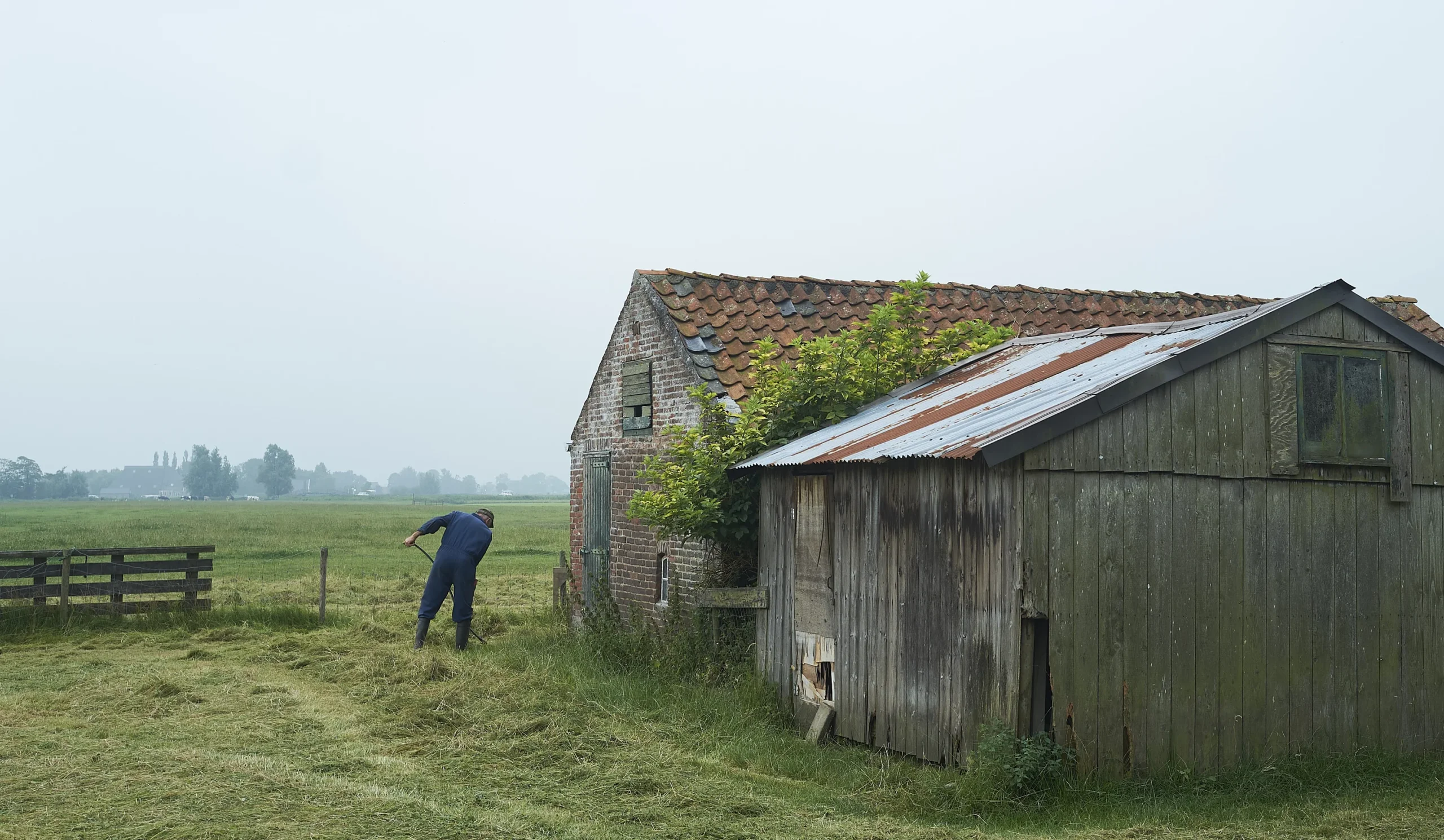 Wyns, The Netherlands