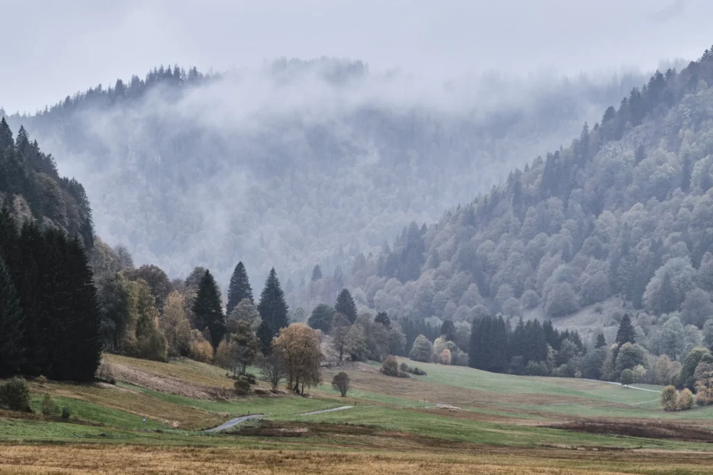 Menzenschwand, Germany — Menzenschwand, Germany