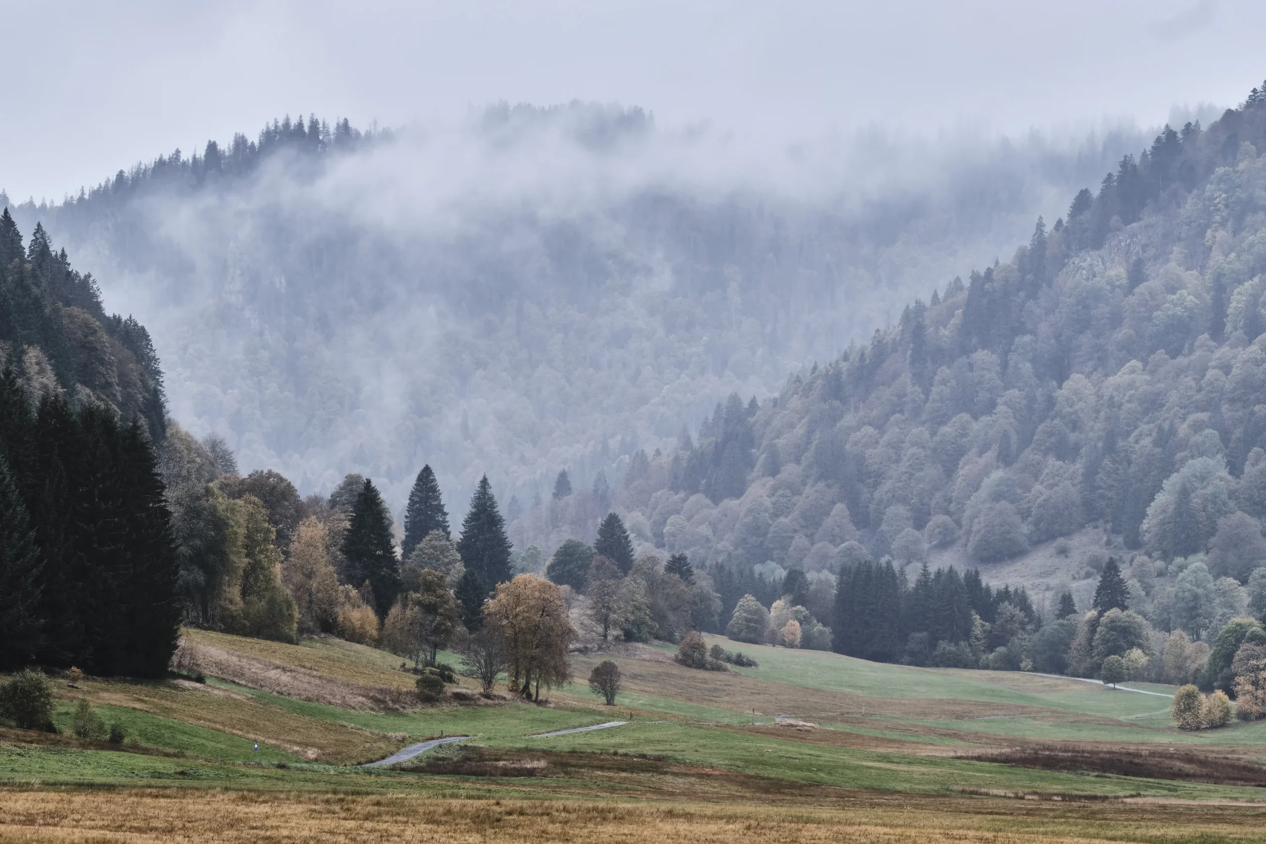 Menzenschwand, Germany