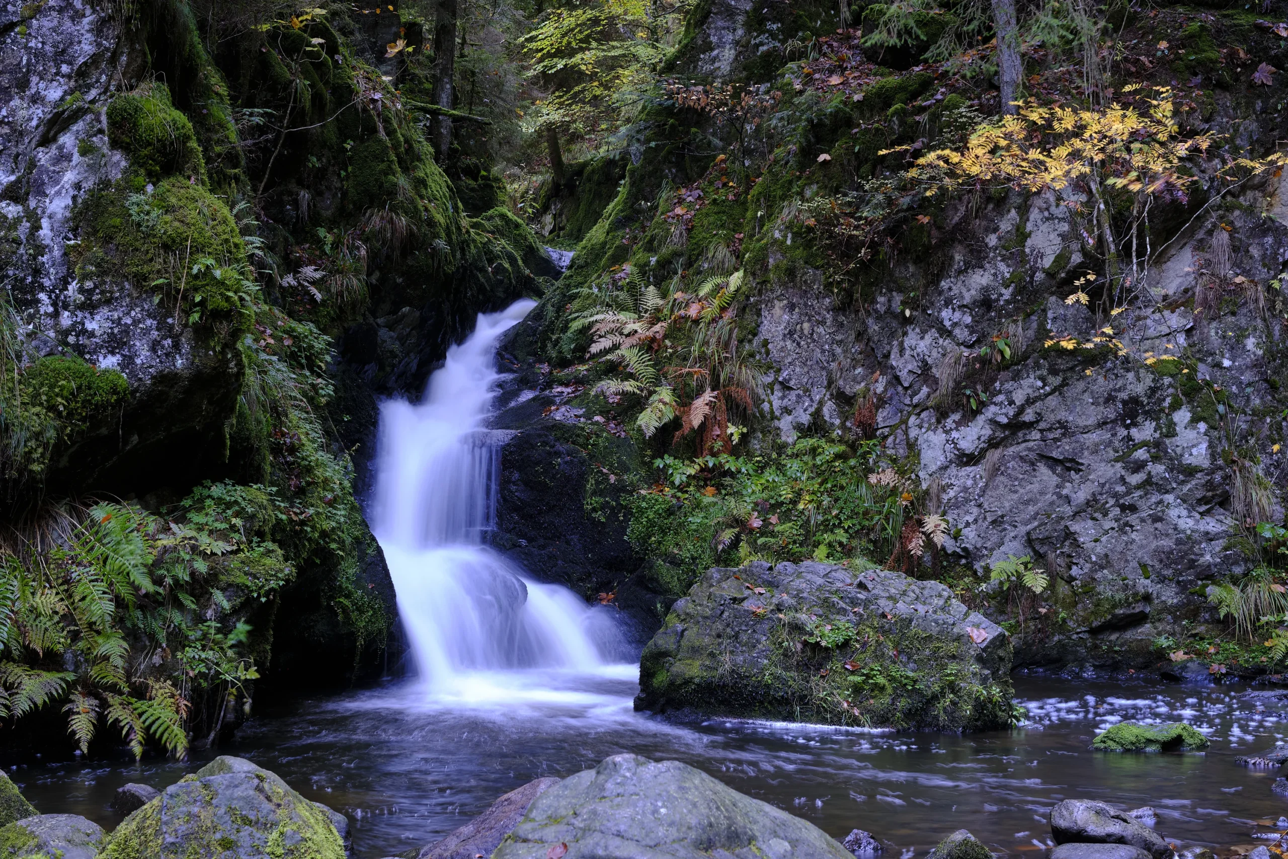 Nature