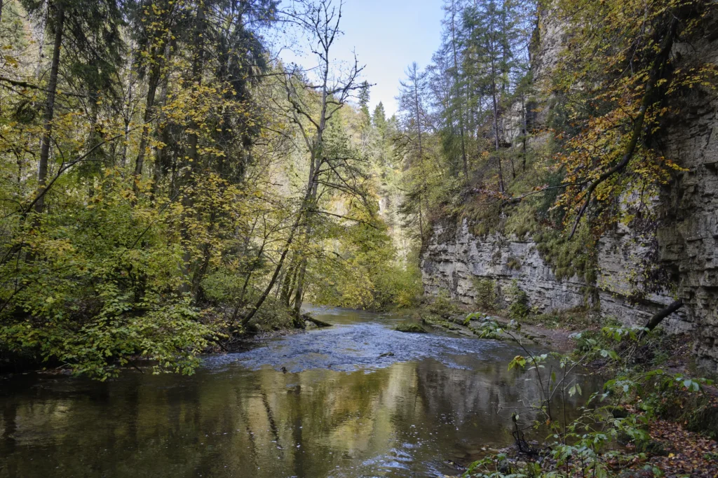 Black Forest, Germany — Black Forest, Germany