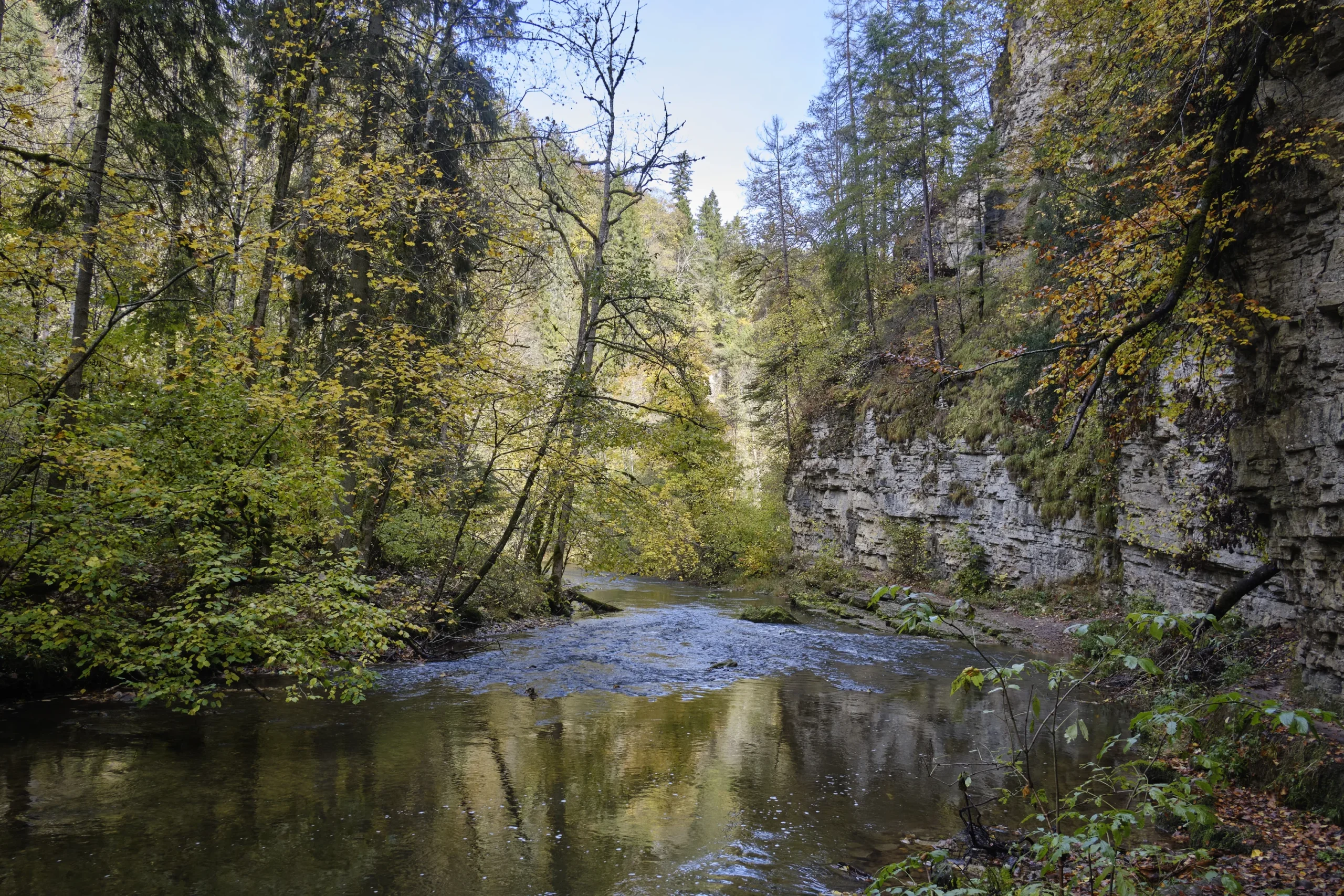 Black Forest, Germany