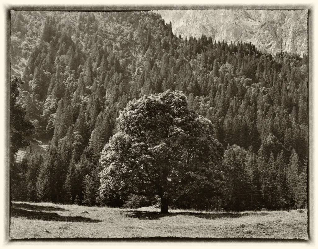 Schwarzwaldalp, Switzerland — Schwarzwaldalp, Switzerland