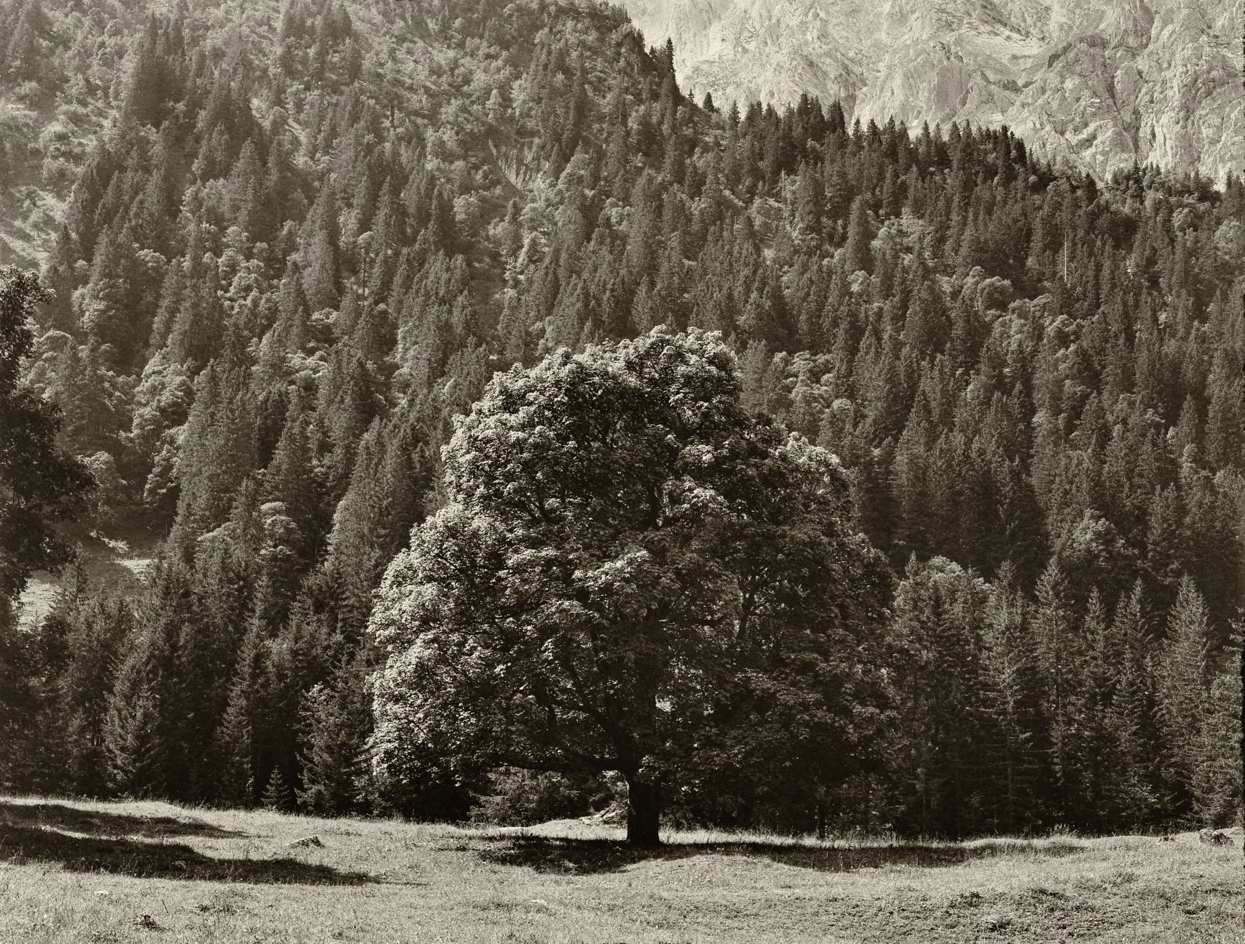 Schwarzwaldalp, Switzerland