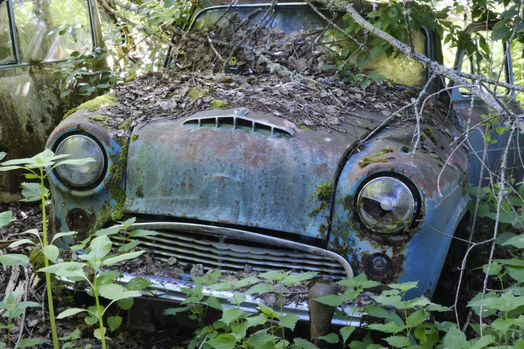 Transport