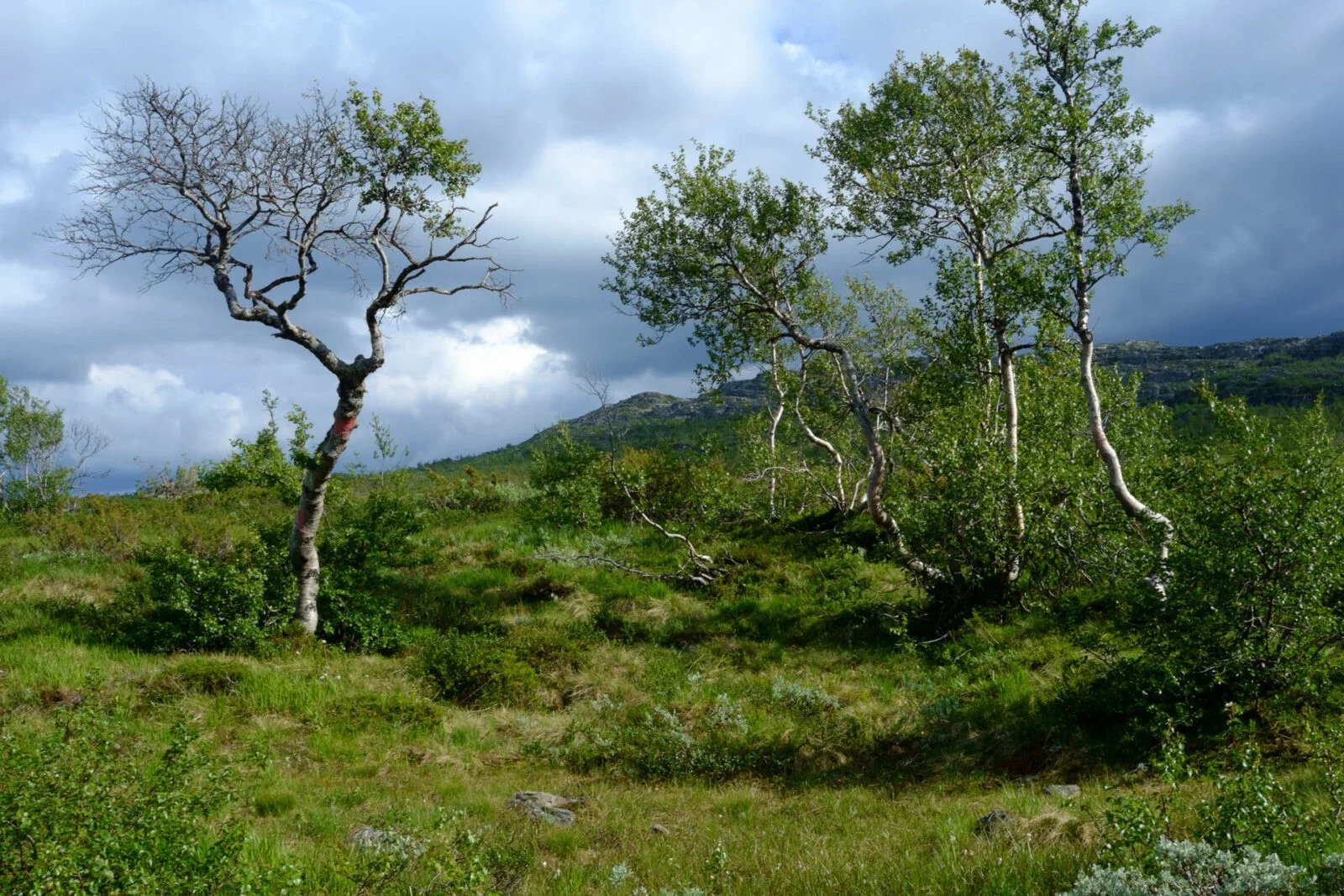 Hovden, Norway