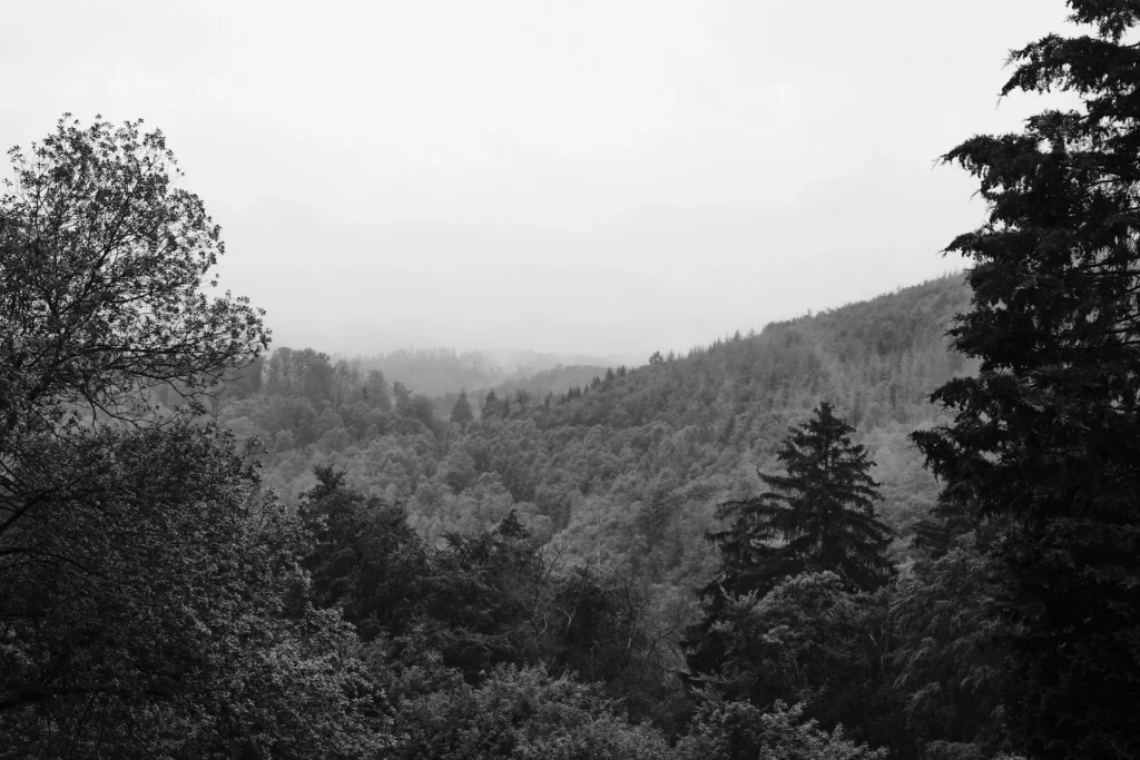 Hohegeiss, Germany — Hohegeiss, Germany
