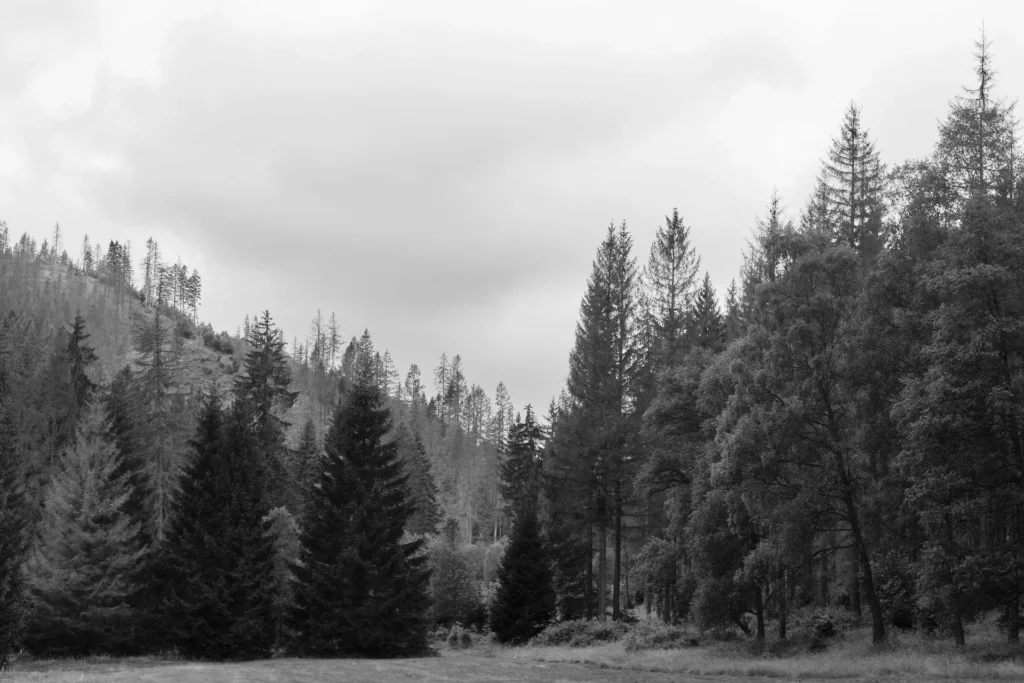 Odertal, Germany — Odertal, Germany