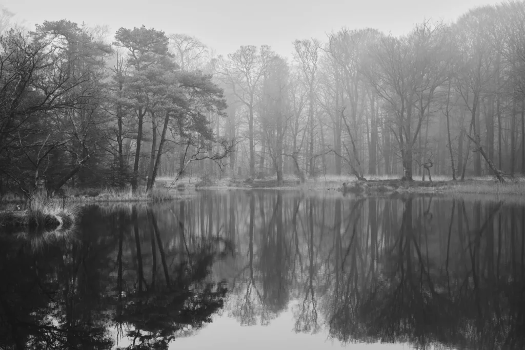 Olterterp, The Netherlands — Olterterp, The Netherlands