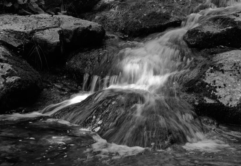 Der Harz
