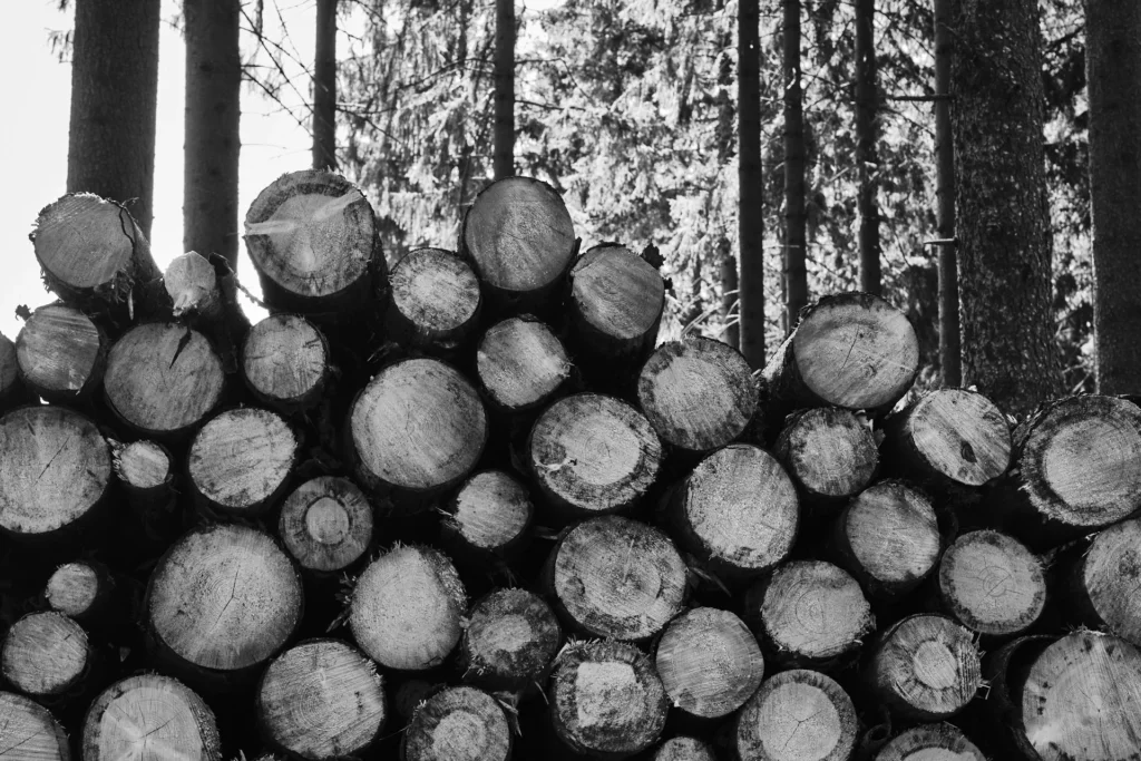 Braunlage, Germany — Braunlage, Germany