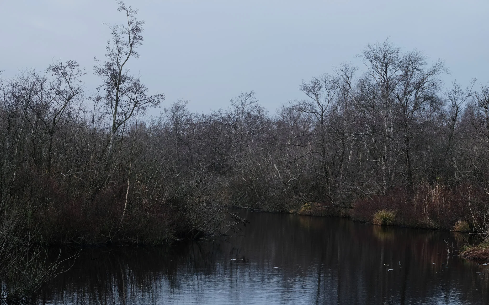 Alde Feanen, The Netherlands