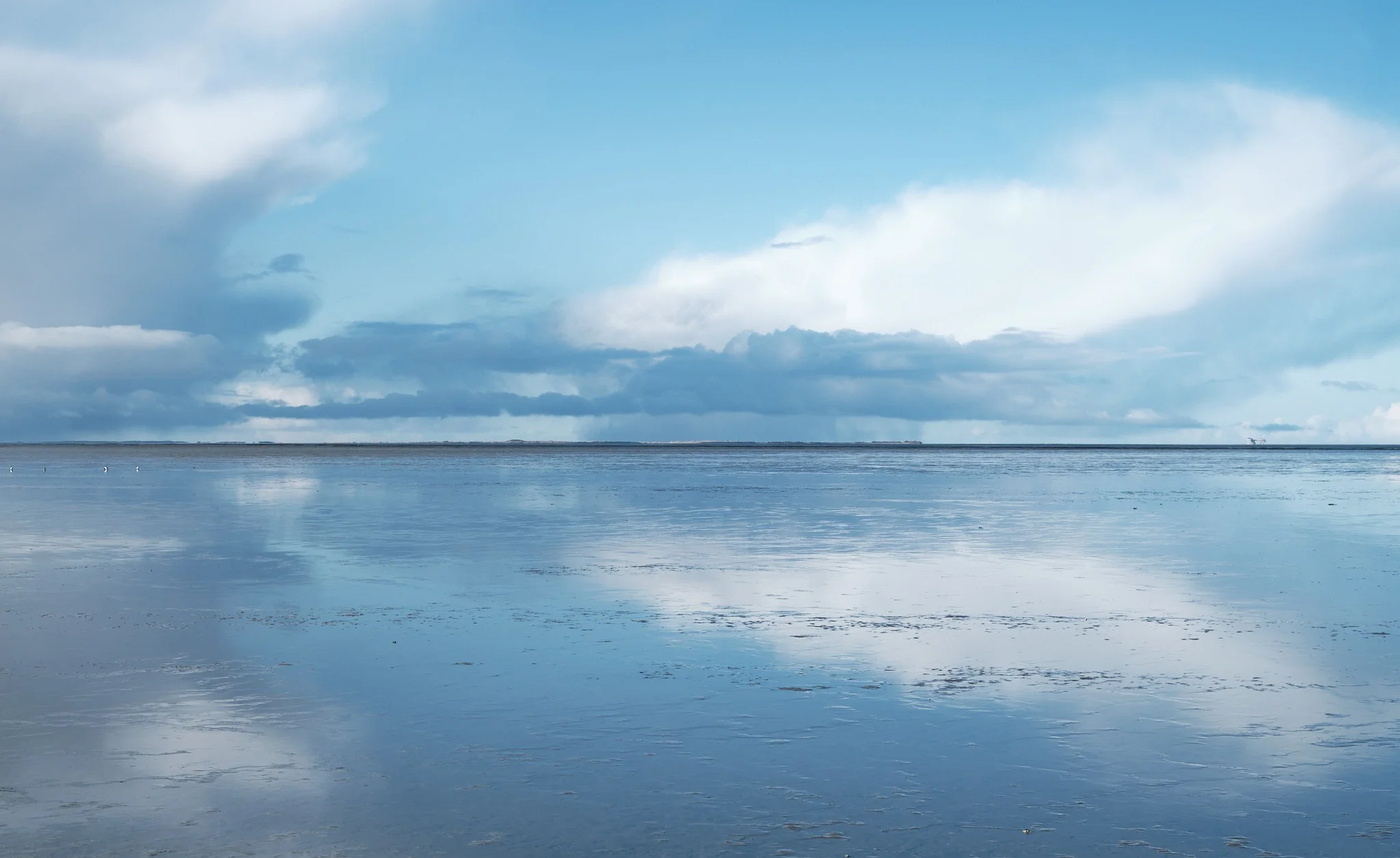 Waddenzee, The Netherlands