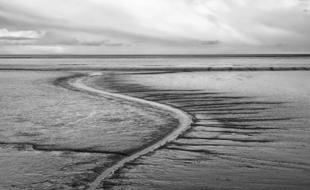 Waddenzee, The Netherlands — Waddenzee, The Netherlands