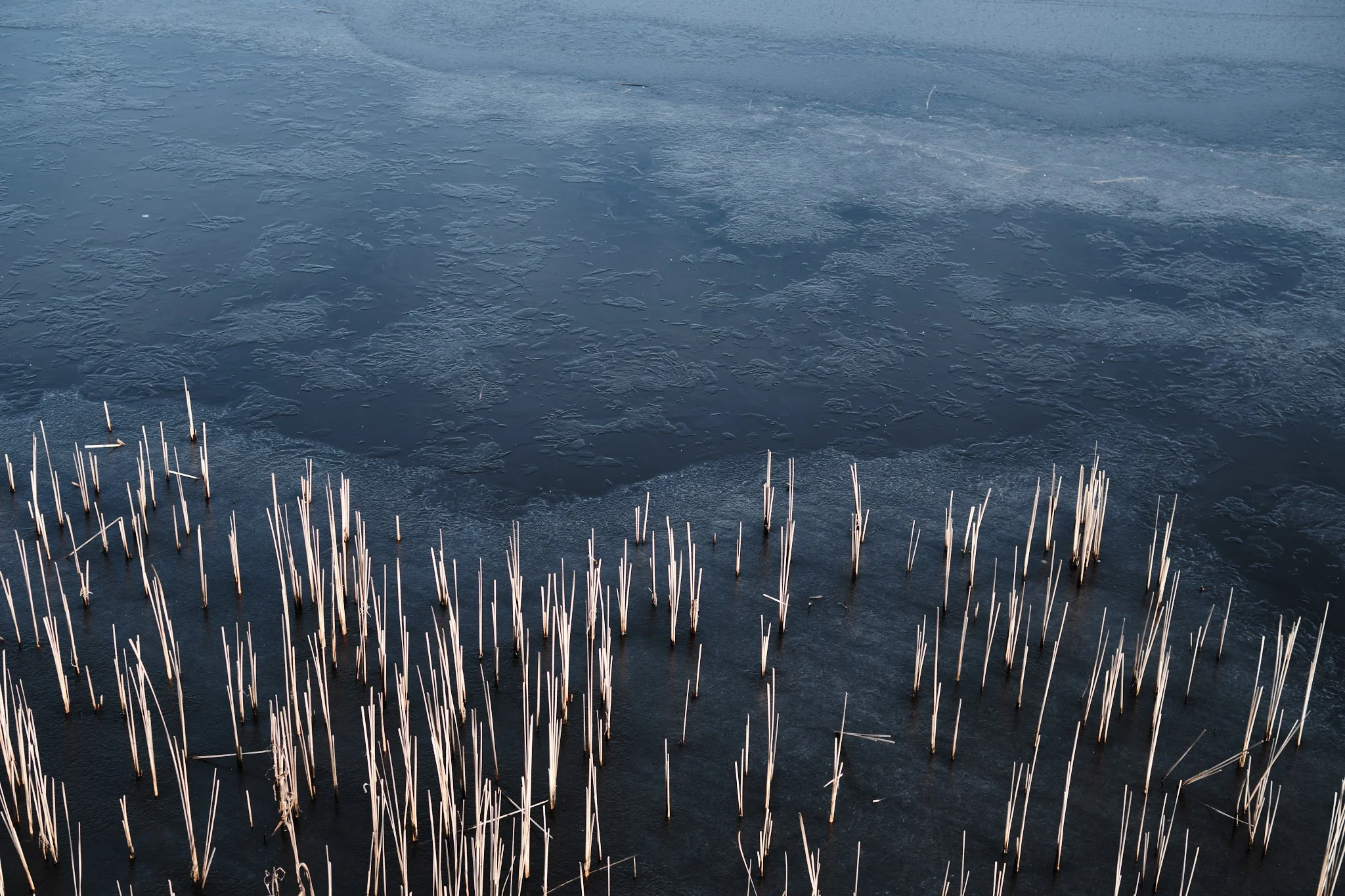 Bergumer meer, The Netherlands