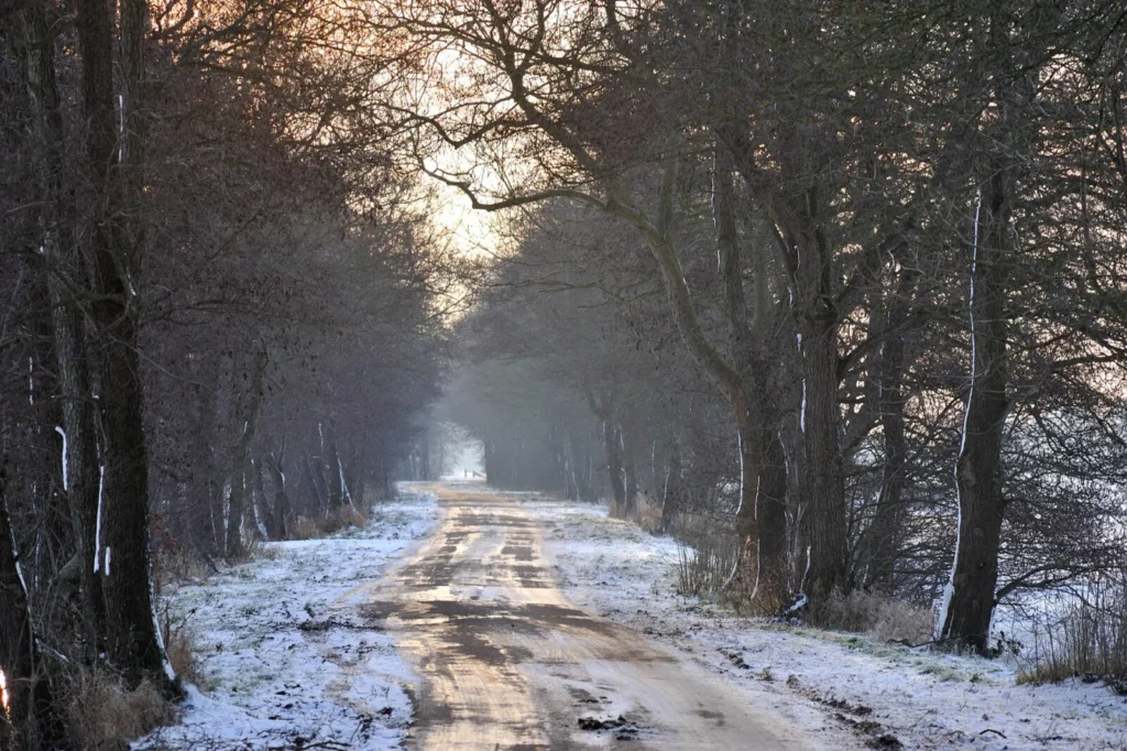 Hardegarijp, The Netherlands — Hardegarijp, The Netherlands