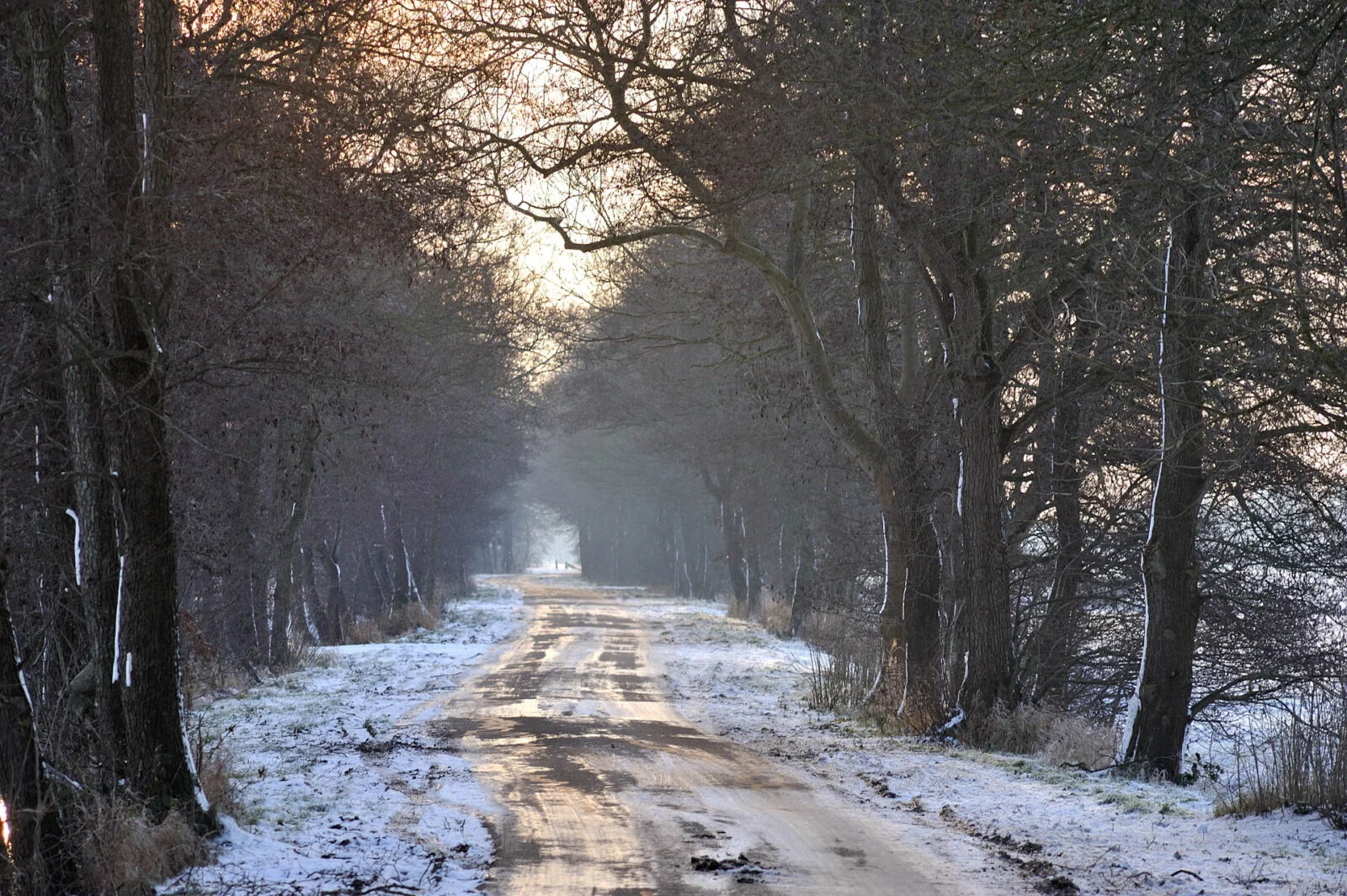 Hardegarijp, The Netherlands
