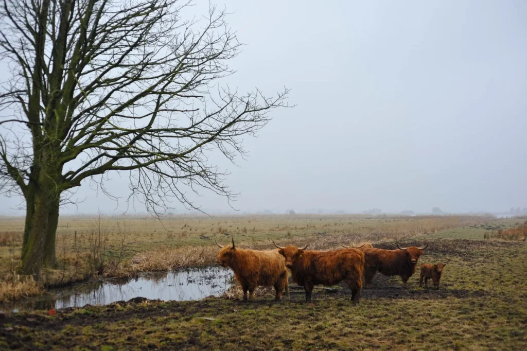 Groningen, The Netherlands — Groningen, The Netherlands