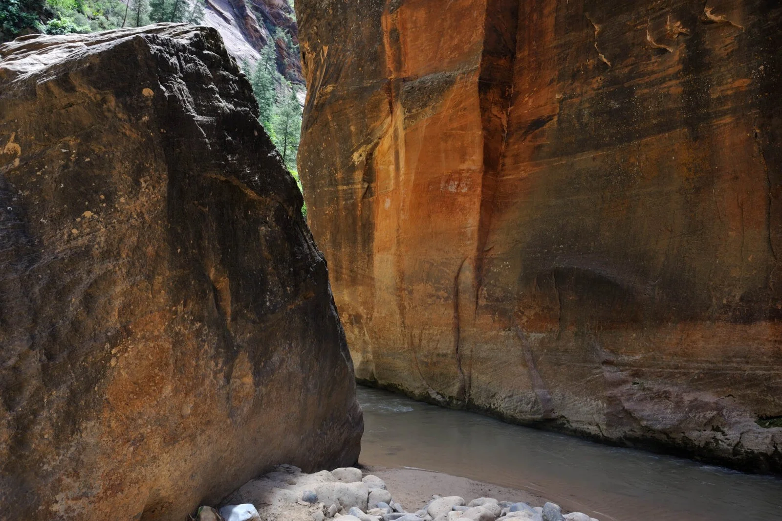 Zion National Park, USA