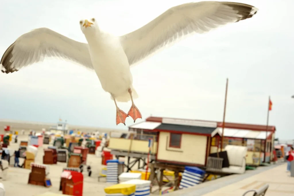 Borkum, Germany — Borkum, Germany