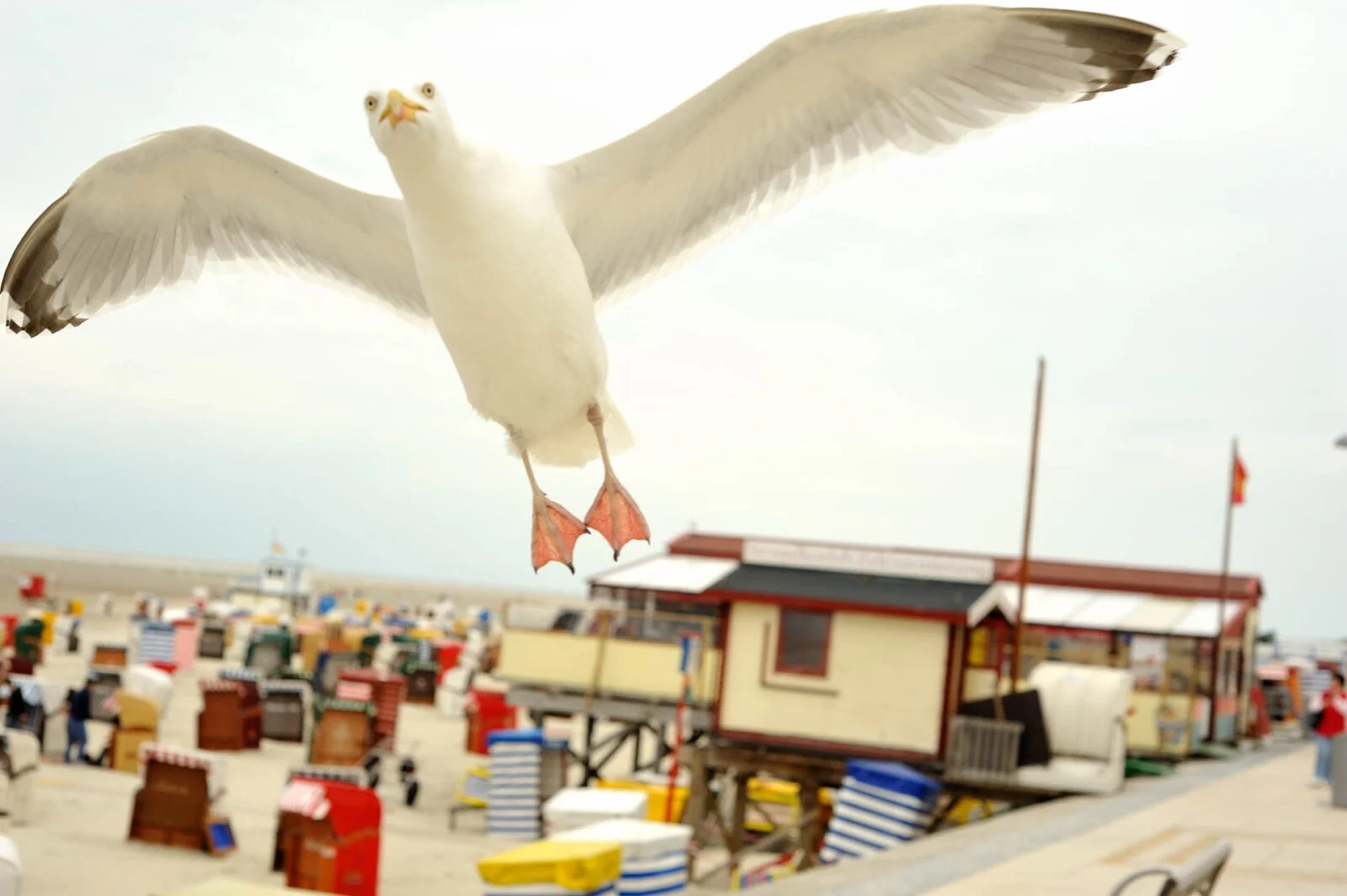 Borkum, Germany