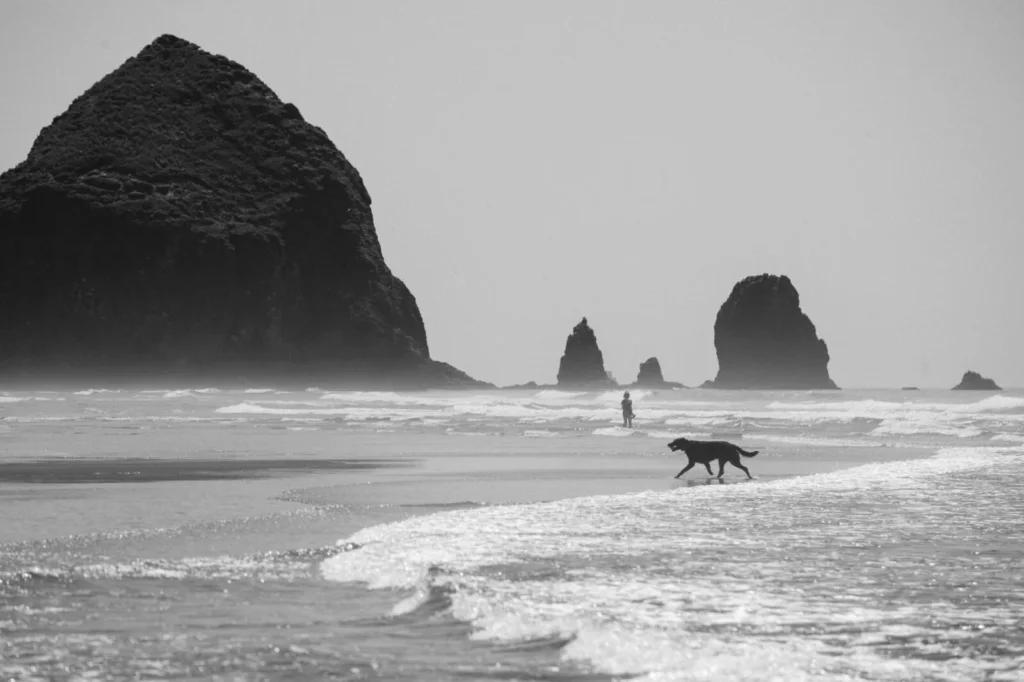 Cannon Beach, USA — Cannon Beach, USA
