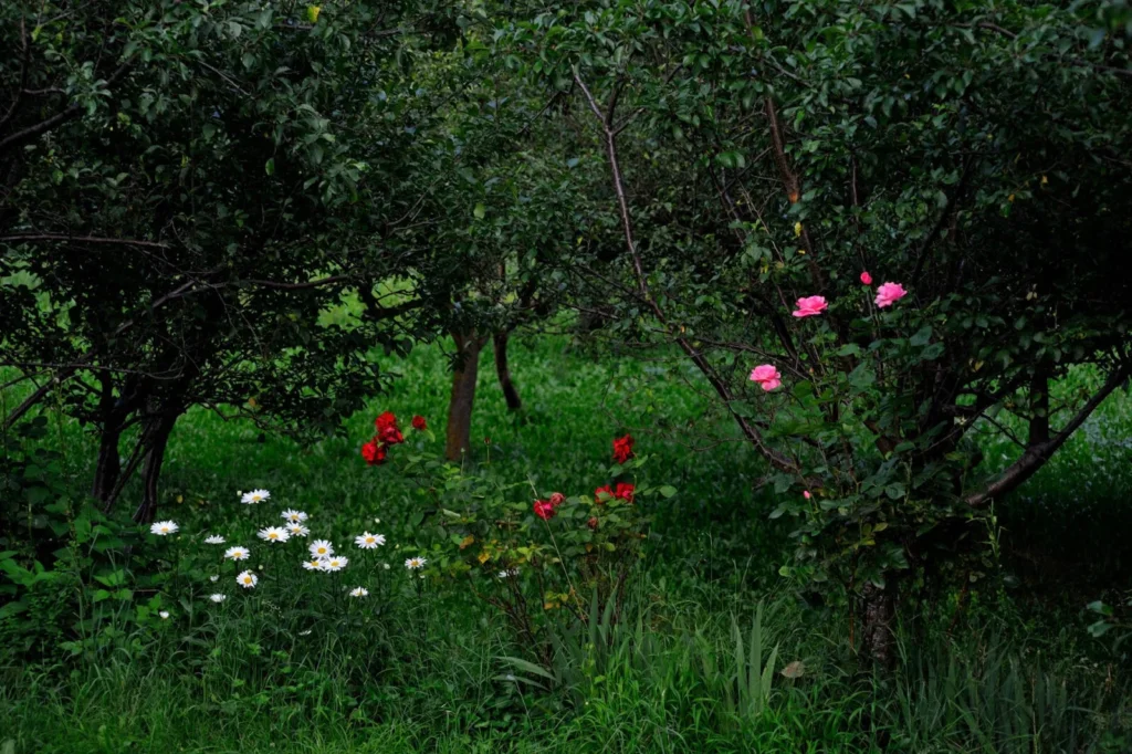 Pyrenees, Spain — Pyrenees, Spain