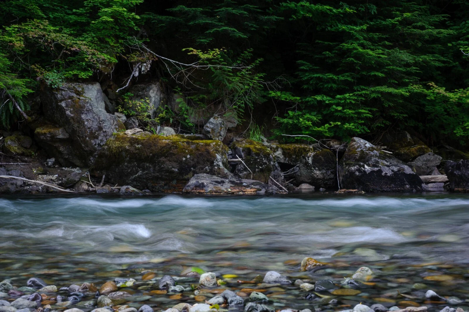 Mount Rainier National Park, USA