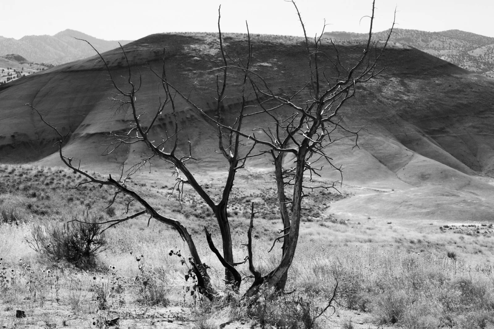 Painted Hills, USA
