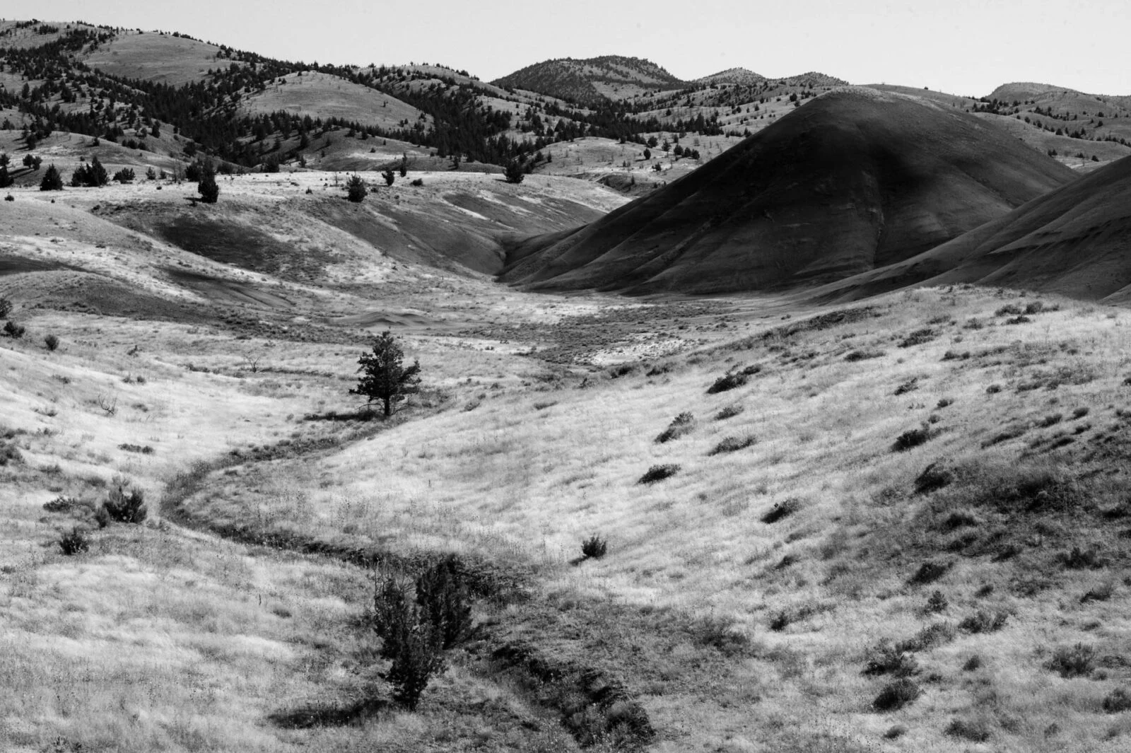 Painted Hills, USA