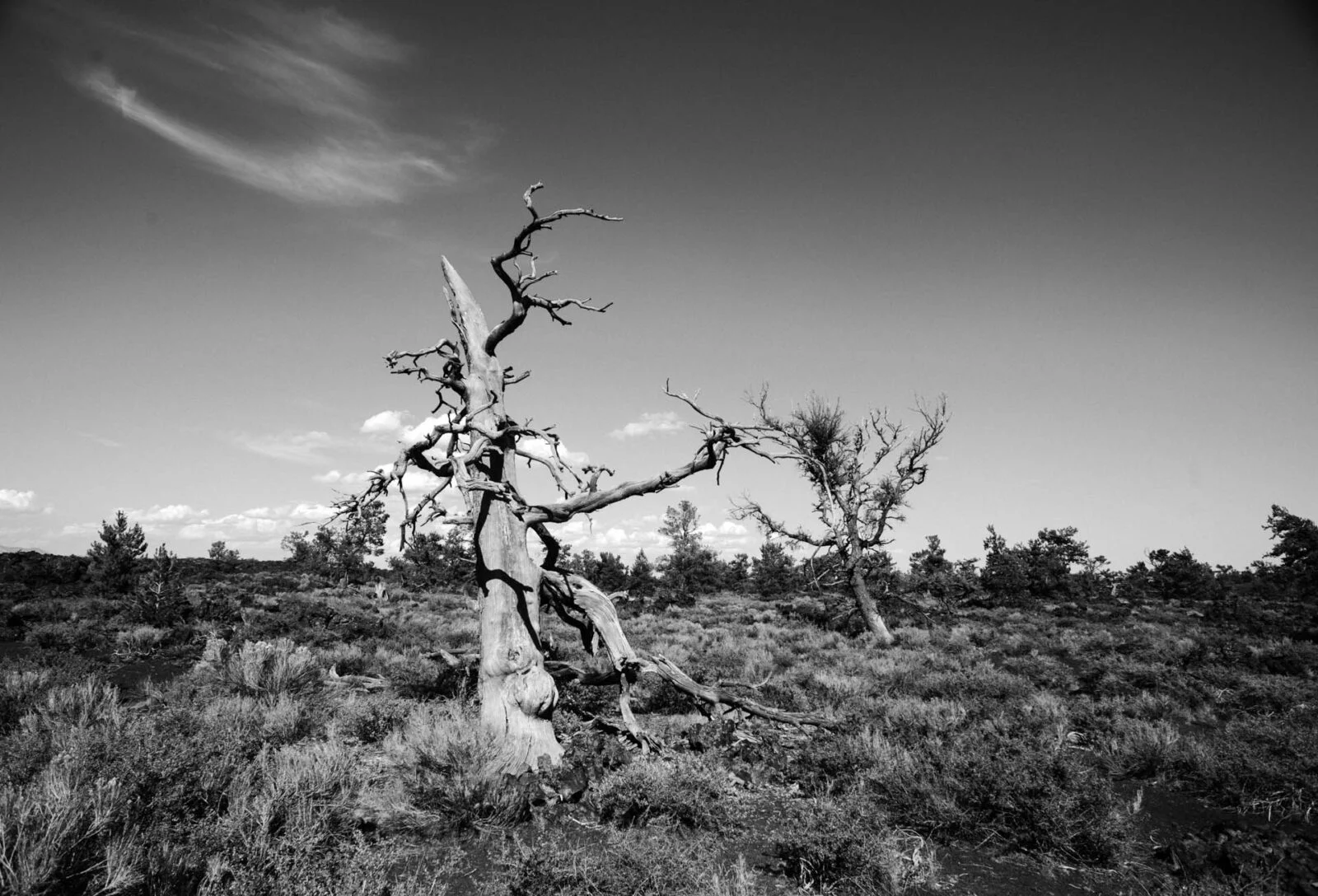 Craters of the Moon, USA