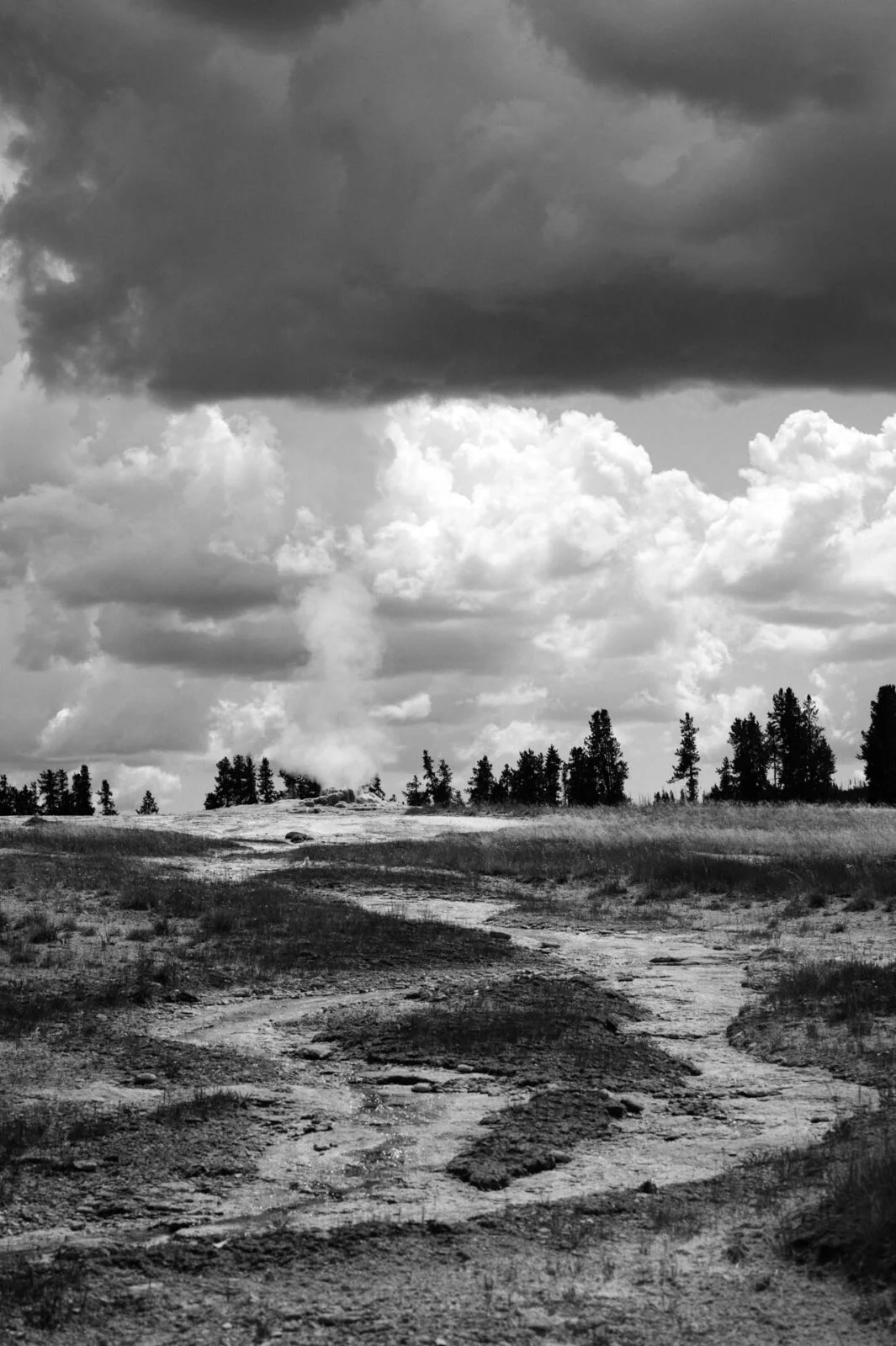 Yellowstone, USA