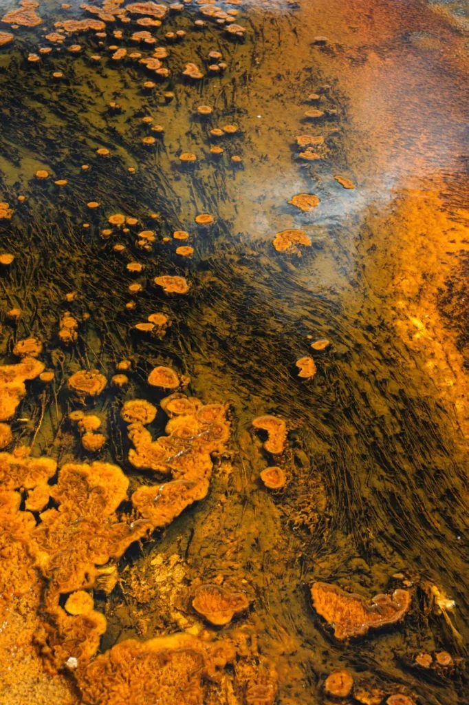 Yellowstone, USA — Yellowstone, USA