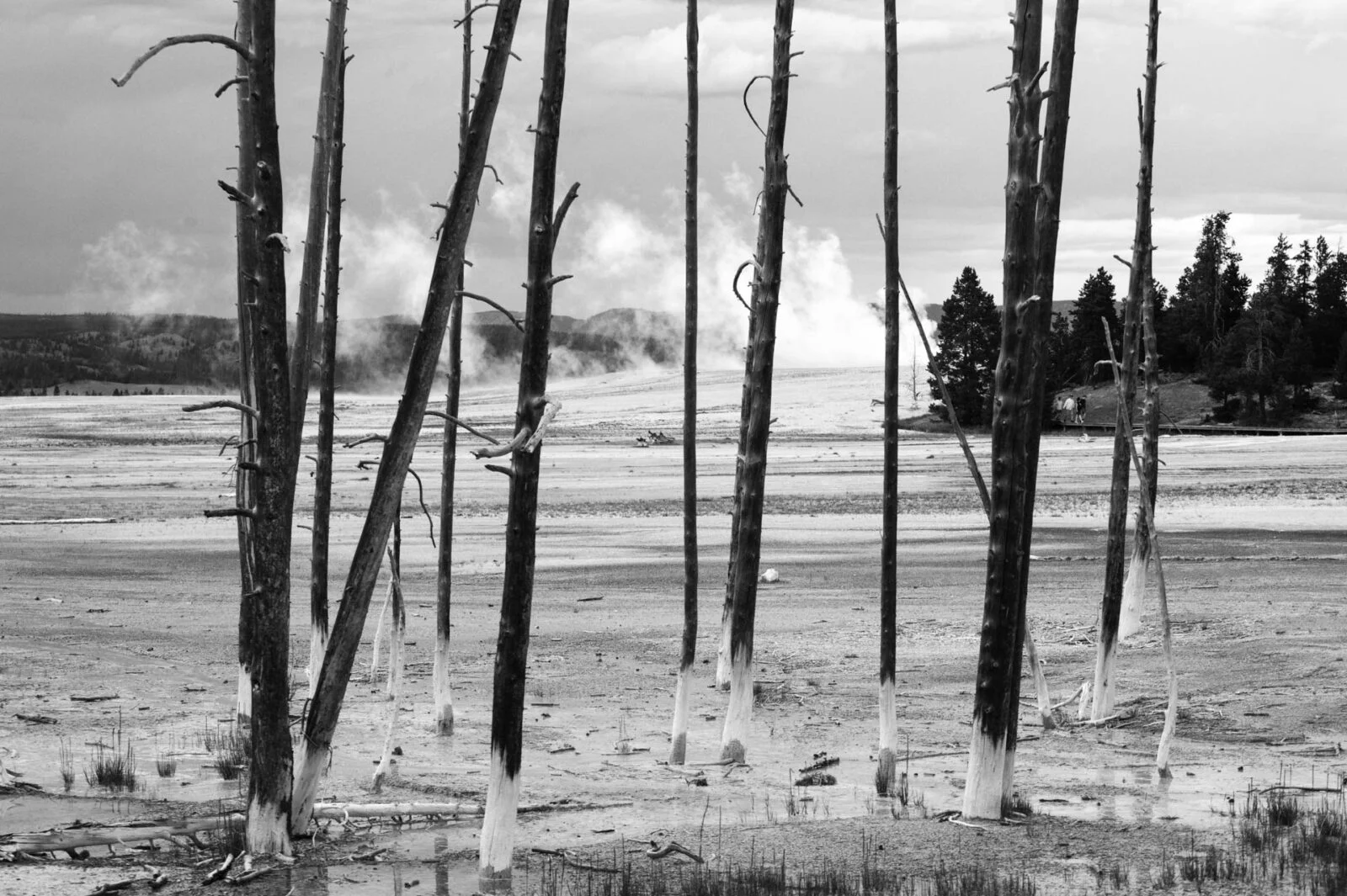 Yellowstone, USA