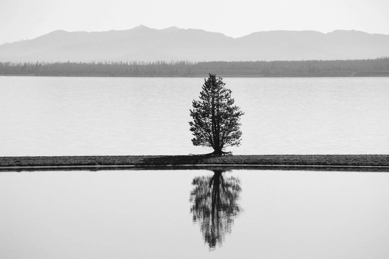 Yellowstone, USA