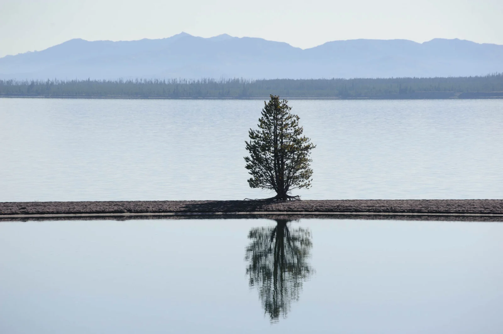 Yellowstone, USA
