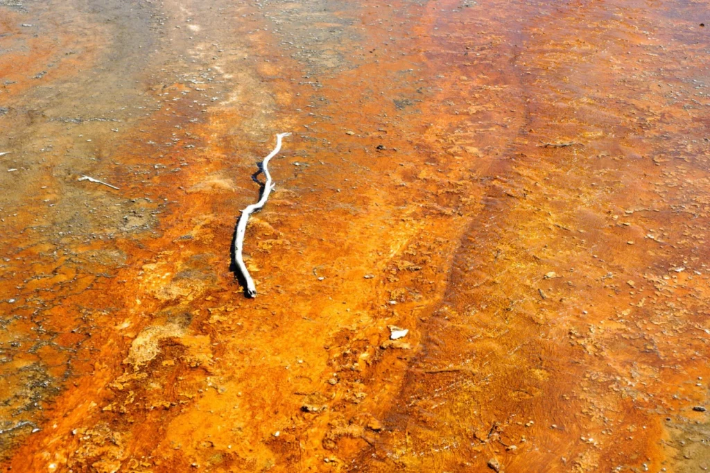 Yellowstone, USA — Yellowstone, USA