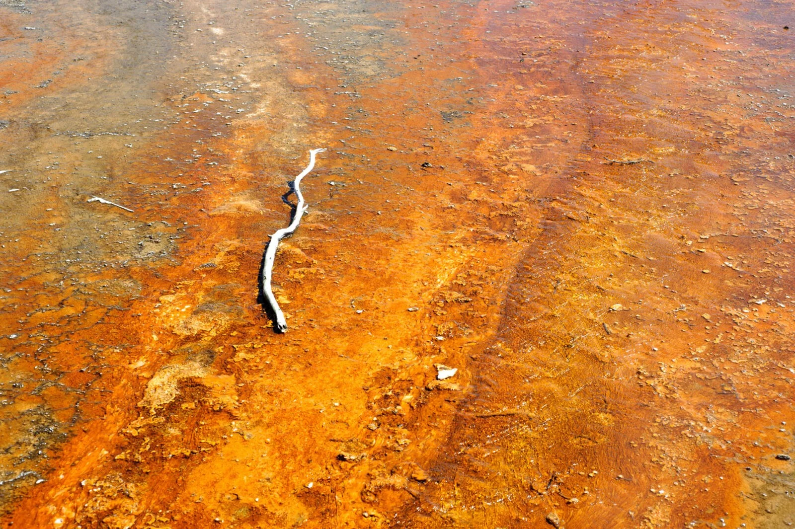 Yellowstone, USA