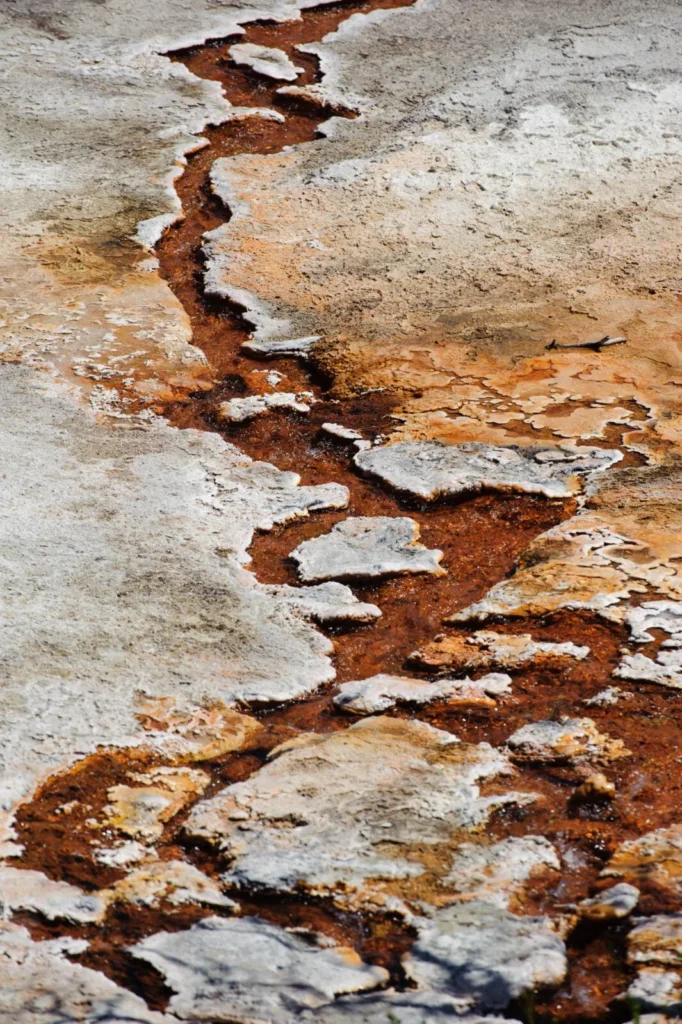 Yellowstone, USA — Yellowstone, USA