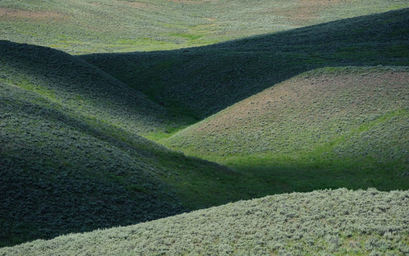 Yellowstone, USA