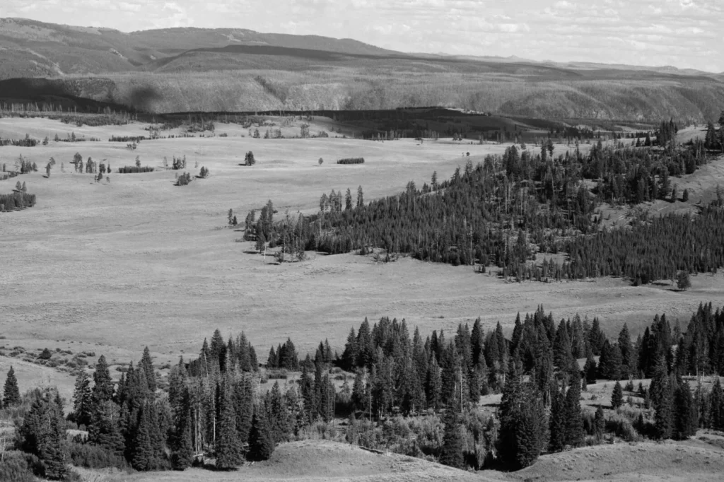 Yellowstone, USA — Yellowstone, USA