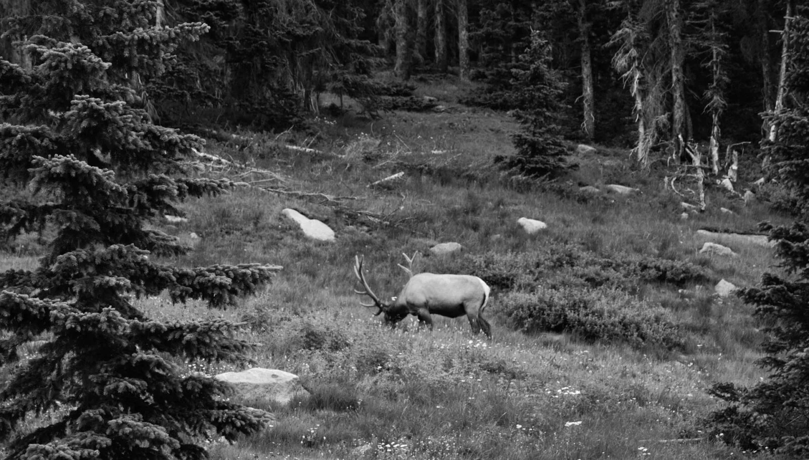Rocky Mountain National Park, USA
