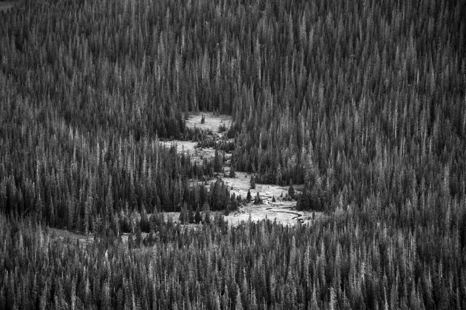 Rocky Mountain National Park, USA
