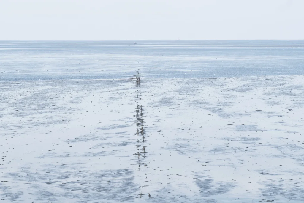 Waddenzee, The Netherlands — Waddenzee, The Netherlands