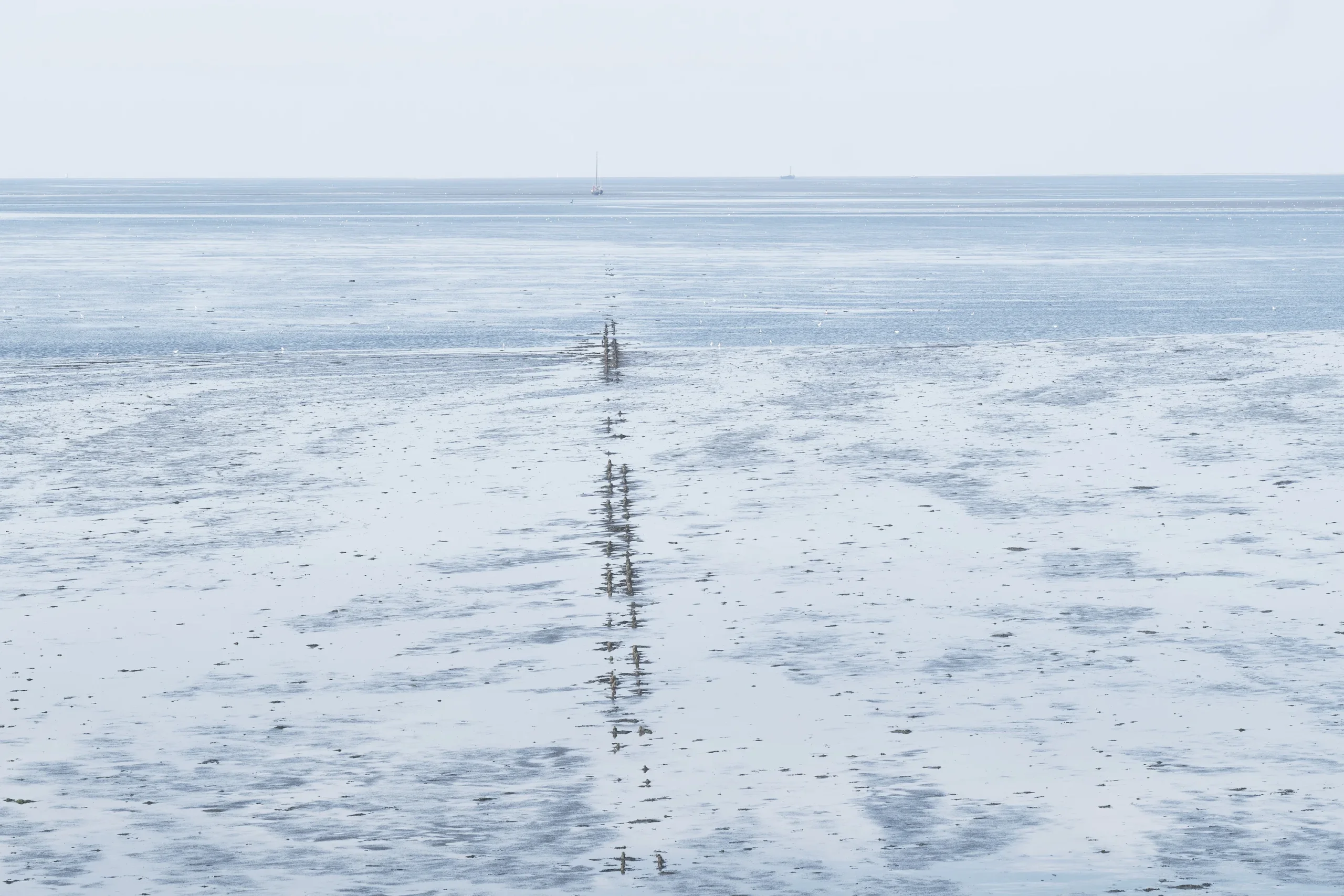 Waddenzee, The Netherlands