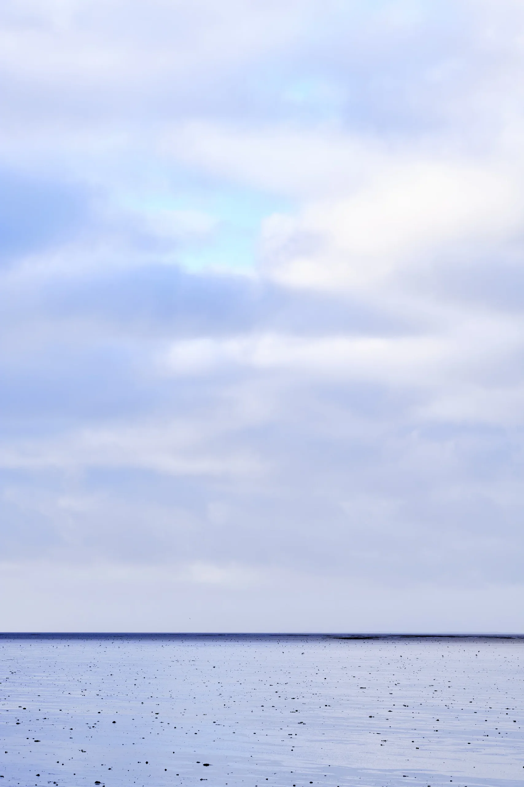 Waddenzee, The Netherlands